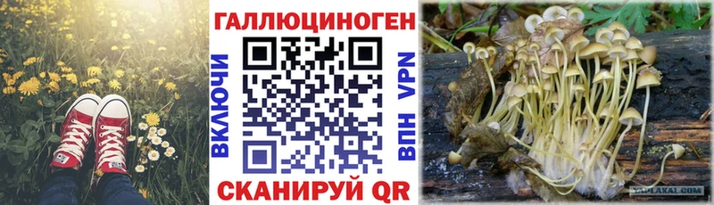 ОМГ ОМГ зеркало  Спас-Деменск  Галлюциногенные грибы GOLDEN TEACHER  цена наркотик 